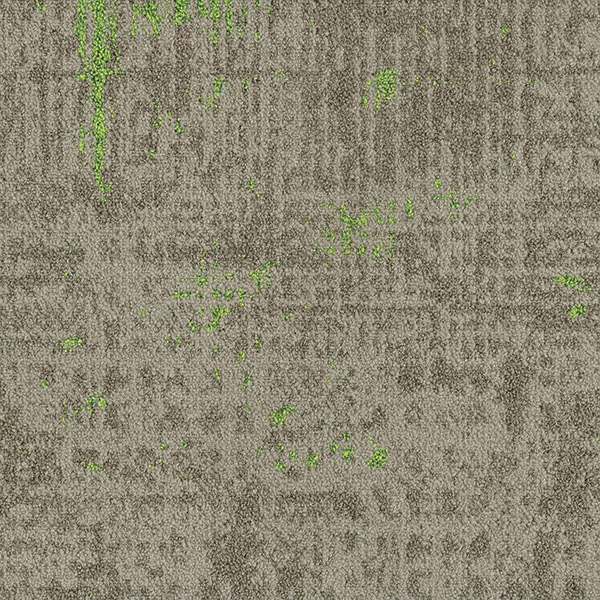 六港澳宝典
