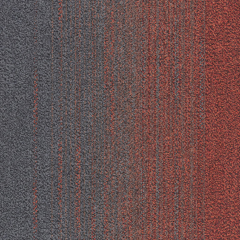 六港澳宝典